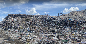 Руководство полигона ТКО в Ленинградской области обязано возместить ущерб почвам