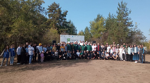 В Саратовской области Росприроднадзор принял участие в Всероссийской акции «Сохраним лес»
