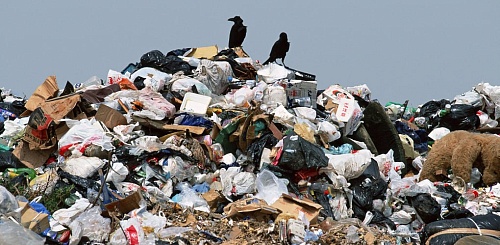 Свалку в Саратове должна устранить Администрация города