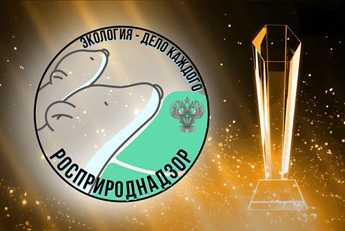 Дети из Сахалинской области прислали около 200 работ для премии Росприроднадзора