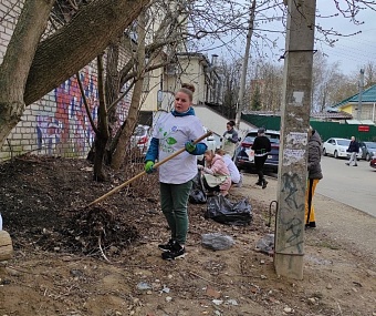 Сотрудники Управления Росприроднадзора по Московской и Смоленской областям провели субботник