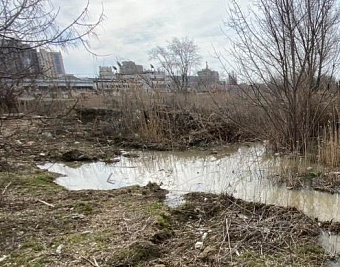 Казанский жировой комбинат возместил вред почвам по решению суда