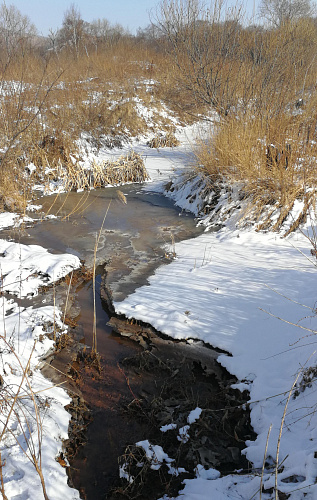 ООО «Врангель Водосток» должно возместить вред реке Глинка   