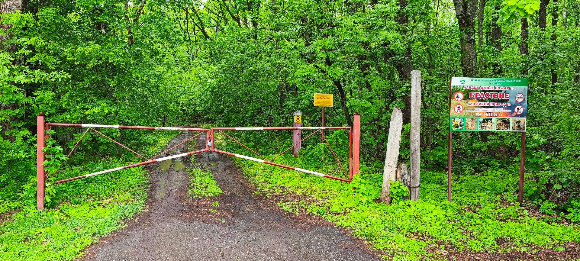 Сотрудники Центрально-Черноземного управления Росприроднадзора проверили готовность Государственного природного заповедника «Белогорье» к пожароопасному сезону 