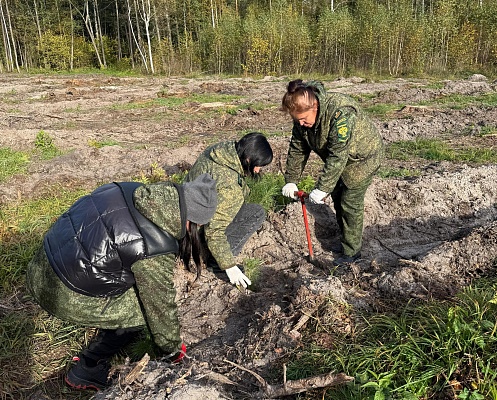 Сотрудники Росприроднадзора в Мордовии стали участниками традиционной Всероссийской акции «Сохраним лес» 