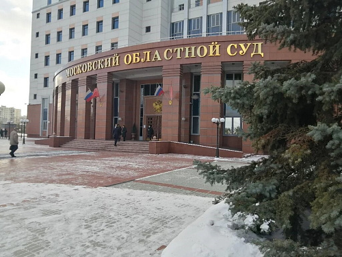 Московский областной суд не нашел оснований для отмены решения Раменского городского суда Московской области