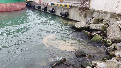Росприроднадзор выявил факт загрязнения отходами акватории Черного моря, примыкающей к границам Новороссийска
