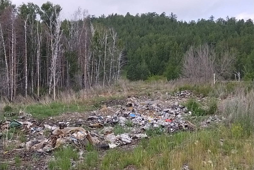 В Челябинске сотрудники Росприроднадзора провели обследование объекта накопленного вреда в рамках федерального проекта «Генеральная уборка»