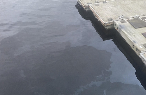 Росприроднадзор по СЗФО проверил информацию о нефтяных пятнах на Большой Невке