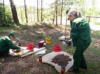 МБУ «Благоустройство города» обязано возместить экологический ущерб в Нижегородской области