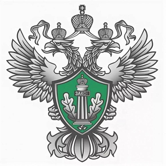 Онлайн-опрос об оценке работы по противодействию коррупции