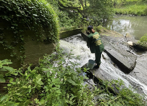 В ходе выездного обследования водоохранной зоны реки Мышега в г. Алексин Тульской области установлены нарушения, пробы природной воды отправлены на экспертизу