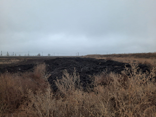 В Волгоградской области Росприроднадзор выявил факт причинения ущерба почвам в результате накопления отходов животноводства АО «Птицефабрика «Волжская»