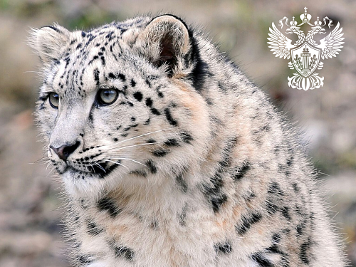 28 октября состоялось заседание межведомственной рабочей группы по вопросам соблюдения природоохранного законодательства