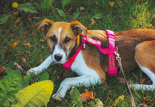 В Управлении Росприроднадзора в г. Иркутске побывал экоактивист Толстиков Даниил
