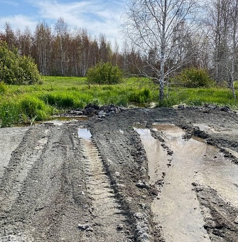 Дорожники Новосибирска возместили причиненный вред почвам
