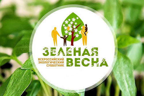 Сотрудники Южно-Сибирского управления Росприроднадзора приняли участие в экологическом субботнике