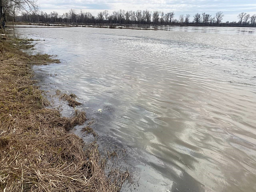 В Кузбассе по факту загрязнения нефтепродуктами  реки Кондома Росприроднадзором проведено выездное обследование 