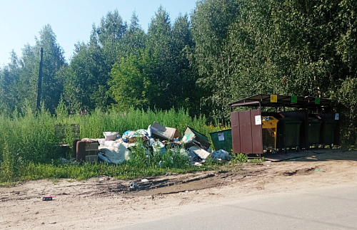 По требованию Росприроднадзора устранены нарушения с вывозом мусора в Борском районе Нижегородской области
