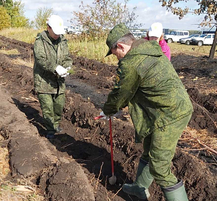 В Республике Мордовия инспекторы Росприроднадзора стали участниками Всероссийской акции «Сохраним лес»