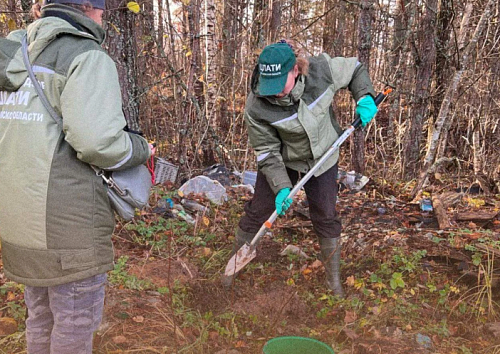 Росприроднадзор через суд требует возместить более 2 млн рублей за нанесенный вред почвам в Псковской области