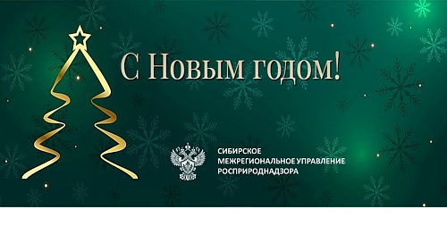 Коллектив Сибирского межрегионального управления Росприроднадзора поздравляет всех с наступающим Новым 2026 годом и светлым праздником Рождества Христова!