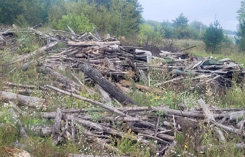 При обследовании земельного участка в поселке Солотча г. Рязань Рязанской области подтвердился факт несанкционированной свалки древесных отходов