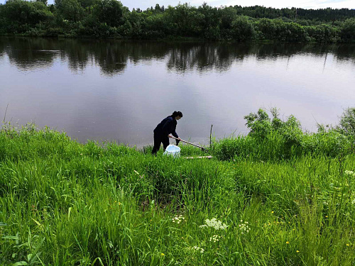 Нацпроект «Экология»: в Республике Коми подведены итоги акции «Речная лента - 2022»