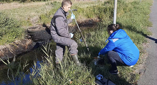 Росприроднадзор по СЗФО проводит проверку по факту загрязнения нефтепродуктами канавы в г. Балтийск   