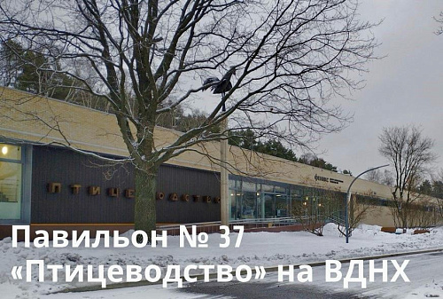 Росприроднадзор по г. Москве и Калужской области провел выездную проверку на объекте капитального строительства «Павильон № 37 «Птицеводство» АО «ВДНХ»