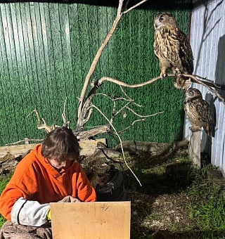 Животных из частного зоопарка в Дагестане передали в специализированные учреждения