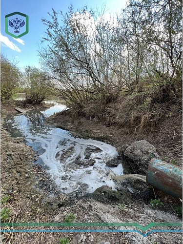 Инспекторы Росприроднадзора устанавливают причины загрязнения озера Каскаринское в Тюменской области