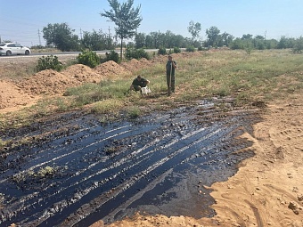 Росприроднадзор провел проверку загрязненного земельного участка в г. Волжский 