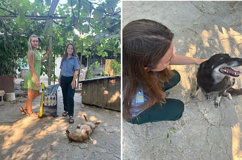 В Севастополе сотрудники Росприроднадзора посетили приют для бездомных животных