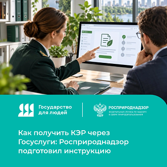 Как получить КЭР через Госуслуги: Росприроднадзор подготовил инструкцию