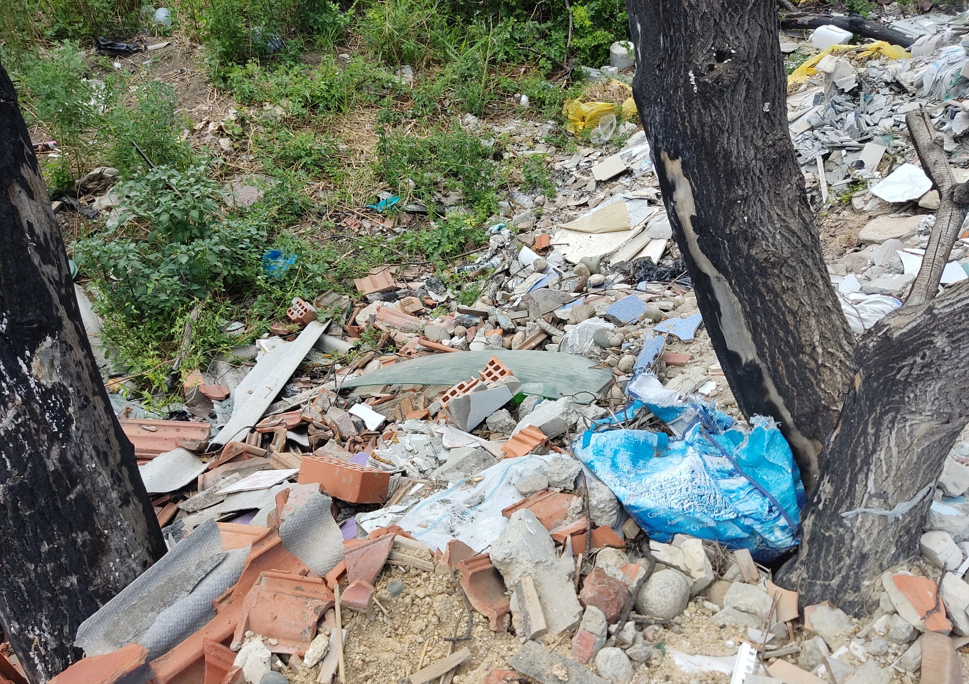 По расчетам Росприроднадзора, вред почвам причиненный СНТ «Садовод» в городе Невинномысске Ставропольского края, составил более 1 млн рублей