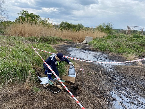 Центрально-Черноземное управление Росприроднадзора требует с ООО «Водстройсервис» добровольно оплатить вред, причиненный почвам, в размере более 1,9 млн руб. 