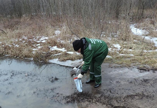 Росприроднадзор посчитает вред, причиненный почве от разлива канализации на ул. Ломоносова в Воронеже