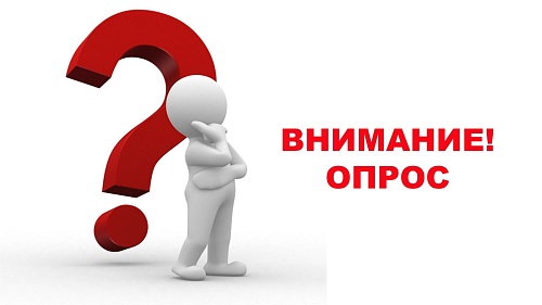 Опрос по профилактике коррупционных правонарушений