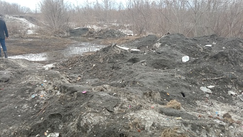 Администрация города Барнаула добровольно возместила более 20 миллионов рублей в счет вреда, причиненного почве  