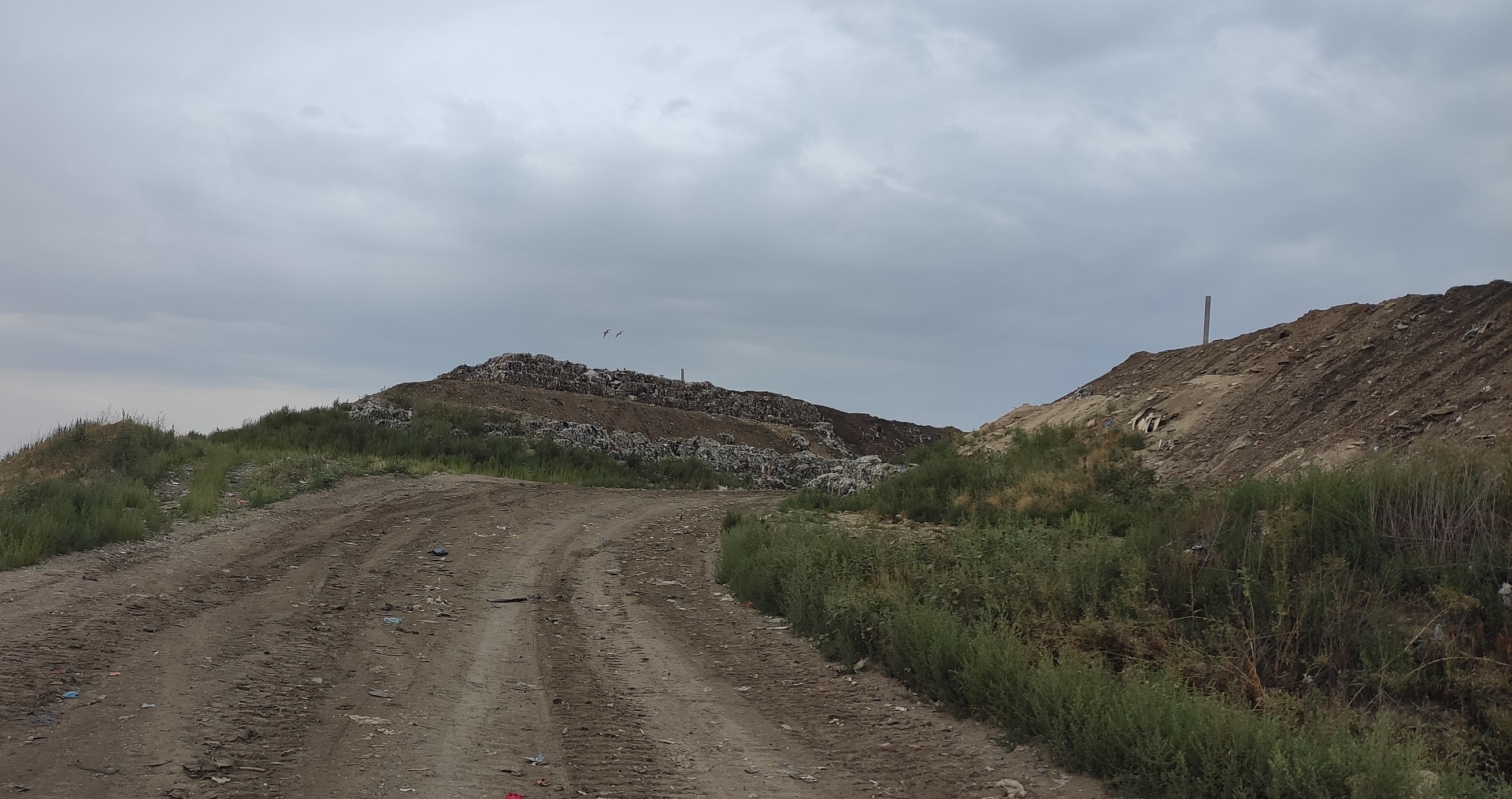 Росприроднадзор выявил нарушения в деятельности регионального оператора по обращению с ТКО на территории Липецкой области