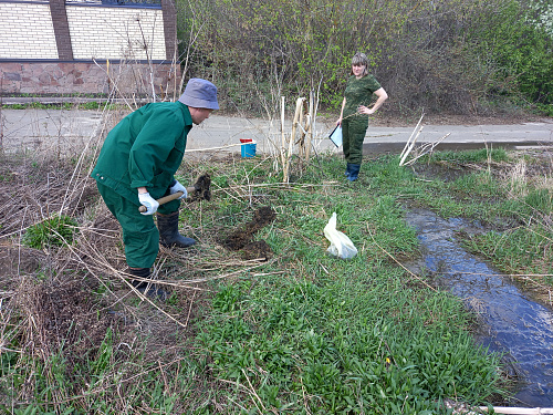 Росприроднадзор взыскивает с жителя Саранска более 500 тысяч рублей ущерба, причиненного почвам