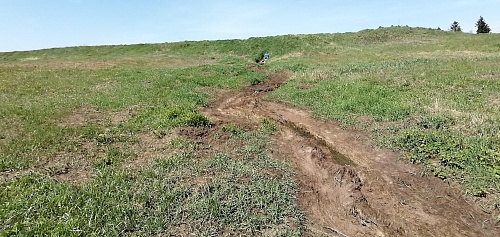 Девятый арбитражный апелляционный суд отказал в удовлетворении жалобы ООО «Молочные реки» по иску Росприроднадзора