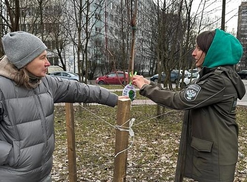 Сотрудники СЗМУ Росприроднадзора в Невском районе Петербурга приняли участие в акции «Сад памяти»