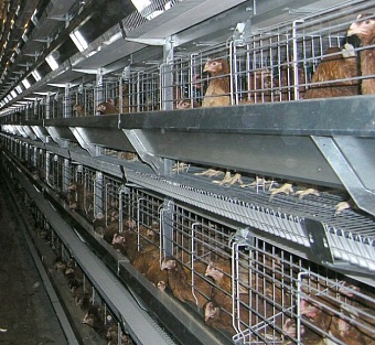 СПК «Окинский» оштрафован на 1 млн рублей за неуплату экосбора