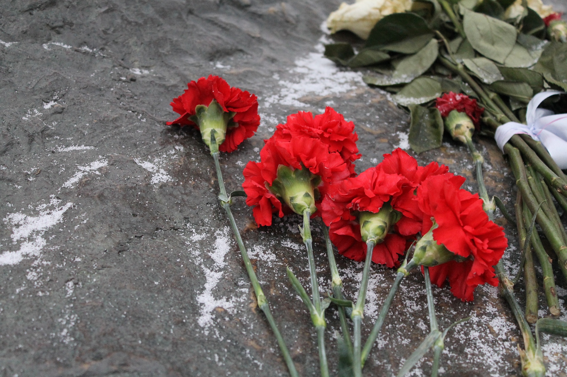 Сотрудники Управления Росприроднадзора возложили цветы к мемориалам в честь Дня Героев Отечества 