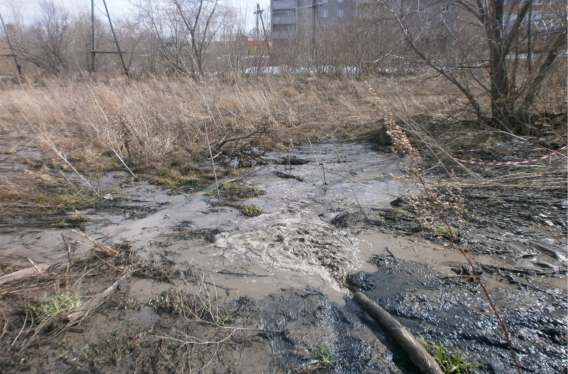 Суд обязал ГПКК «Центр развития коммунального комплекса» возместить вред, причиненный почве