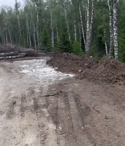 Нарушитель природоохранного законодательства компенсировал вред, причиненный почвам в городе Белокуриха Алтайского края  