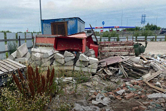 Суд обязал владельцев земельного участка в поселке Шушары выплатить 24,5 млн рублей за нанесенный вред почвам