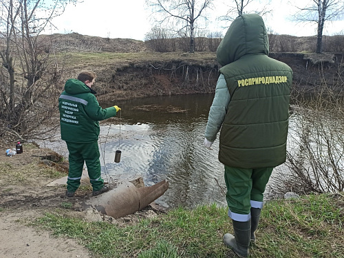 Росприроднадзор провел выездное обследование разлива сточных вод в Ярославском районе Ярославской области
